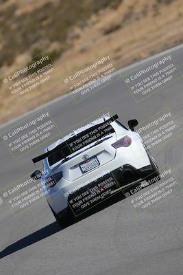 media/Nov-19-2023-Extreme Speed (Sun) [[bd0eec5490]]/Green/Wall Paper Photos/